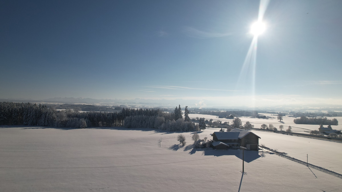 A winter landscape is displayed under a clear blue sky, featuring a blanket of white snow covering the fields. A solitary building is positioned to the right, with trees visible in the background. The sun shines brightly, casting light over the tranquil scene.