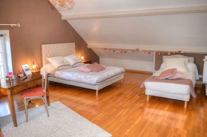 Chambre Bouvreuil, kwa watu 4 wasiozidi, ghorofa ya juu

Kitanda 1 140x190
Vitanda 2 x 90 x 190 (1 haijaonyeshwa kwenye picha)

Chumba cha kuogea na choo 