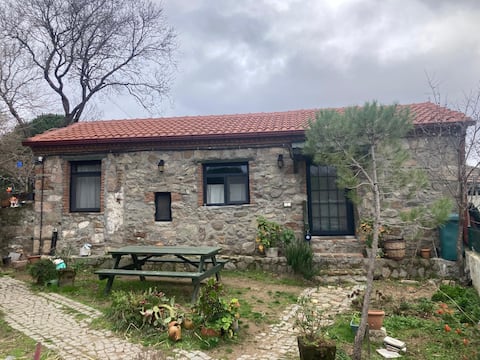 Neandria Stone House Mustakil Tas Ev