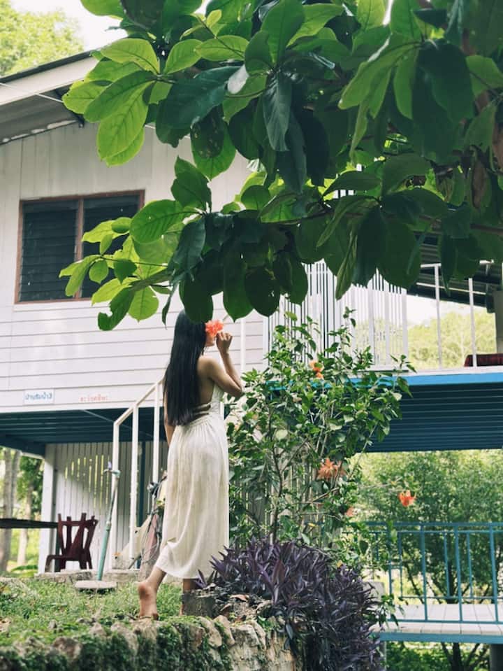 Nita Camping And Homestay - Suan Phueng District