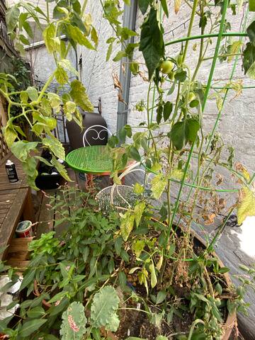 Greenwich Village Charm – 3 bdrms, Full Bath, A/C! gallery image 5