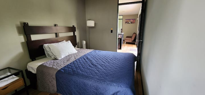 Habitación 1