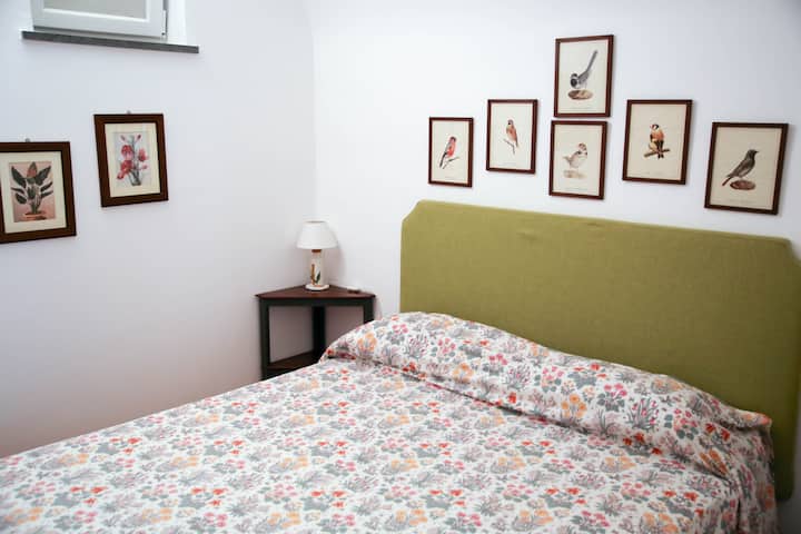 Habitación 1