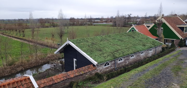 U ish intervyusida sexy kiyingan.