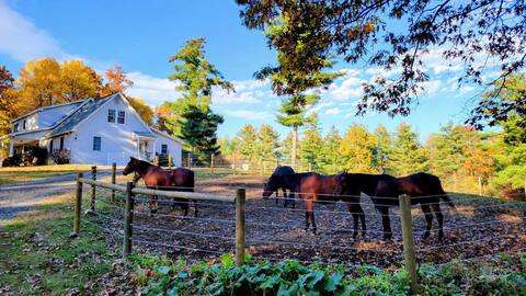 Serene 1-br suite on 65 acre horse property