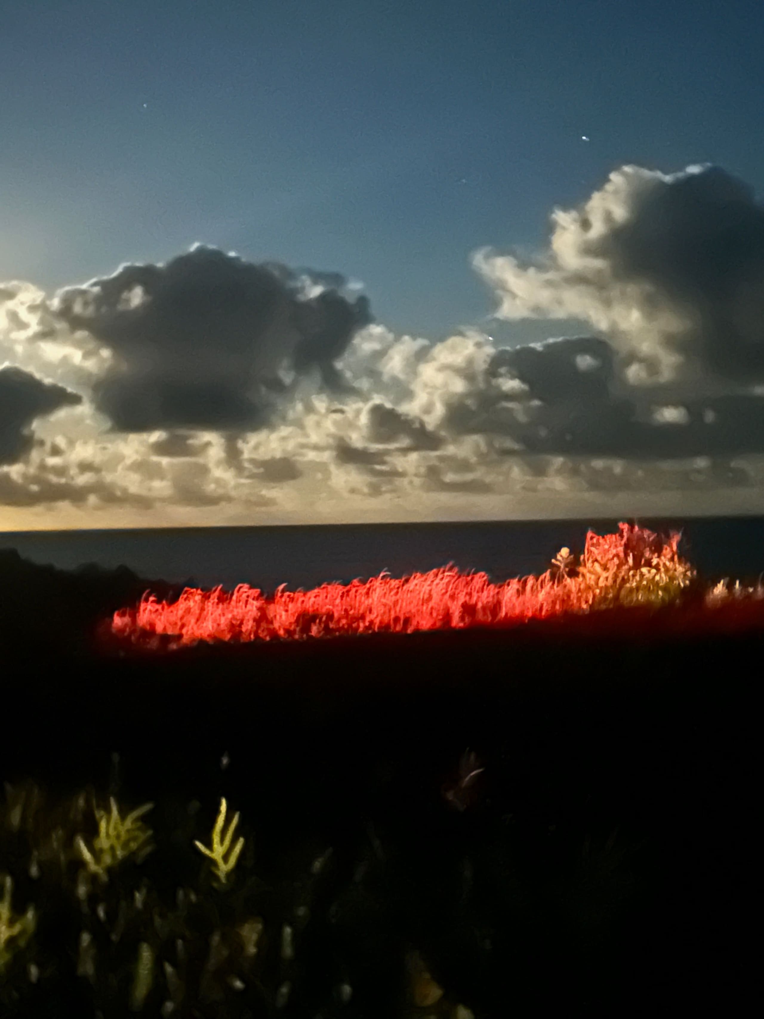 Guesthouse in Pahoa · ★4.86 · 1 bedroom · 1 bed · 1 private bath - Image 15