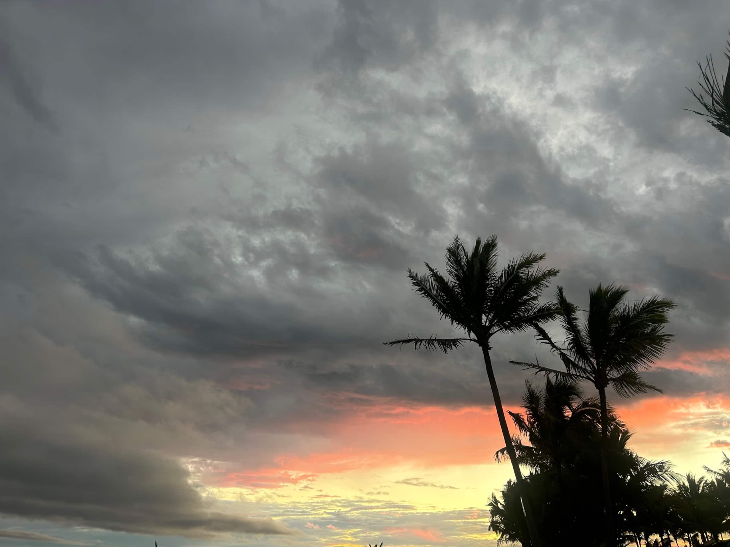 Guesthouse in Pahoa · ★4.86 · 1 bedroom · 1 bed · 1 private bath - Image 23