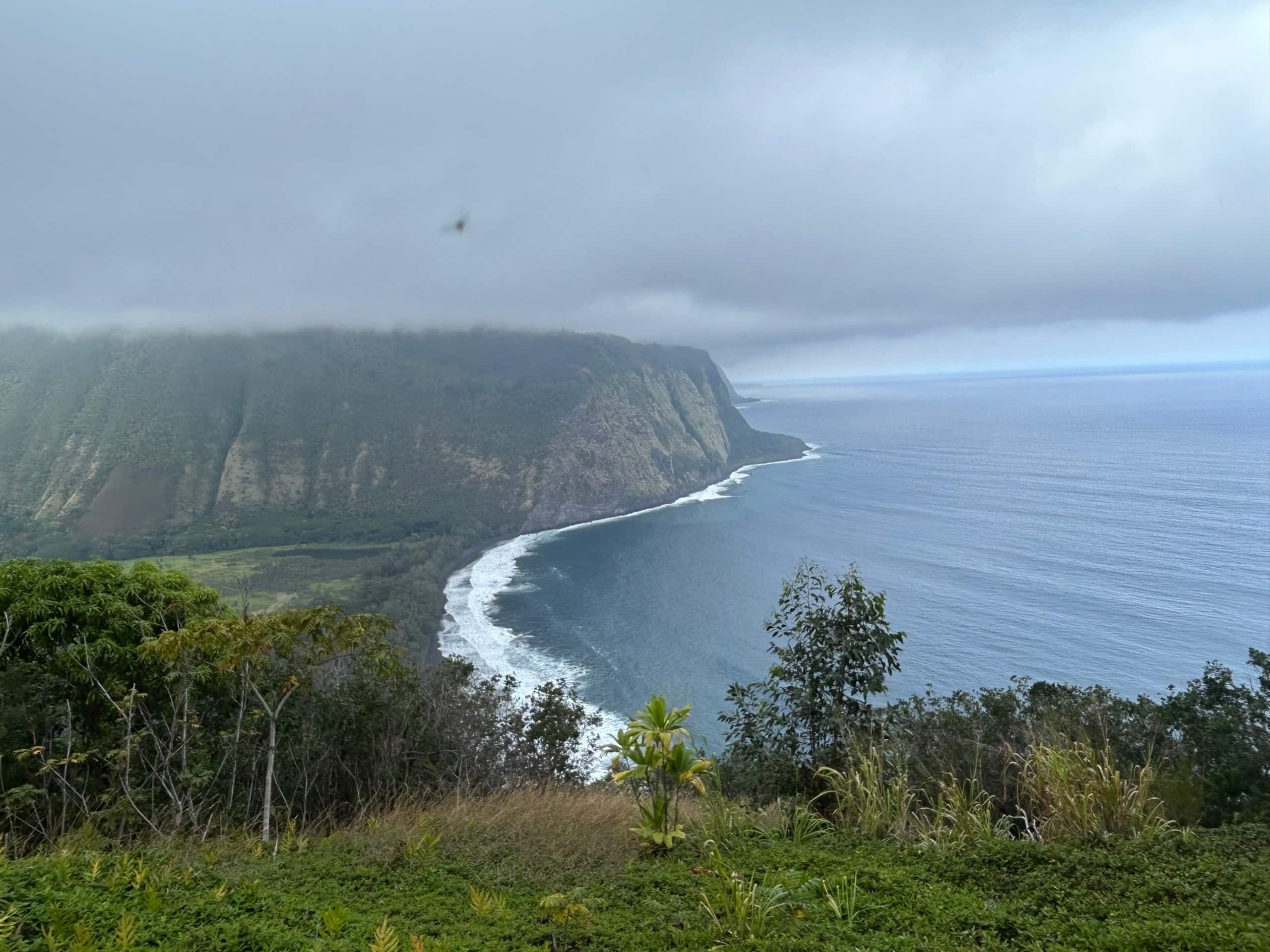 Guesthouse in Pahoa · ★4.86 · 1 bedroom · 1 bed · 1 private bath - Image 22