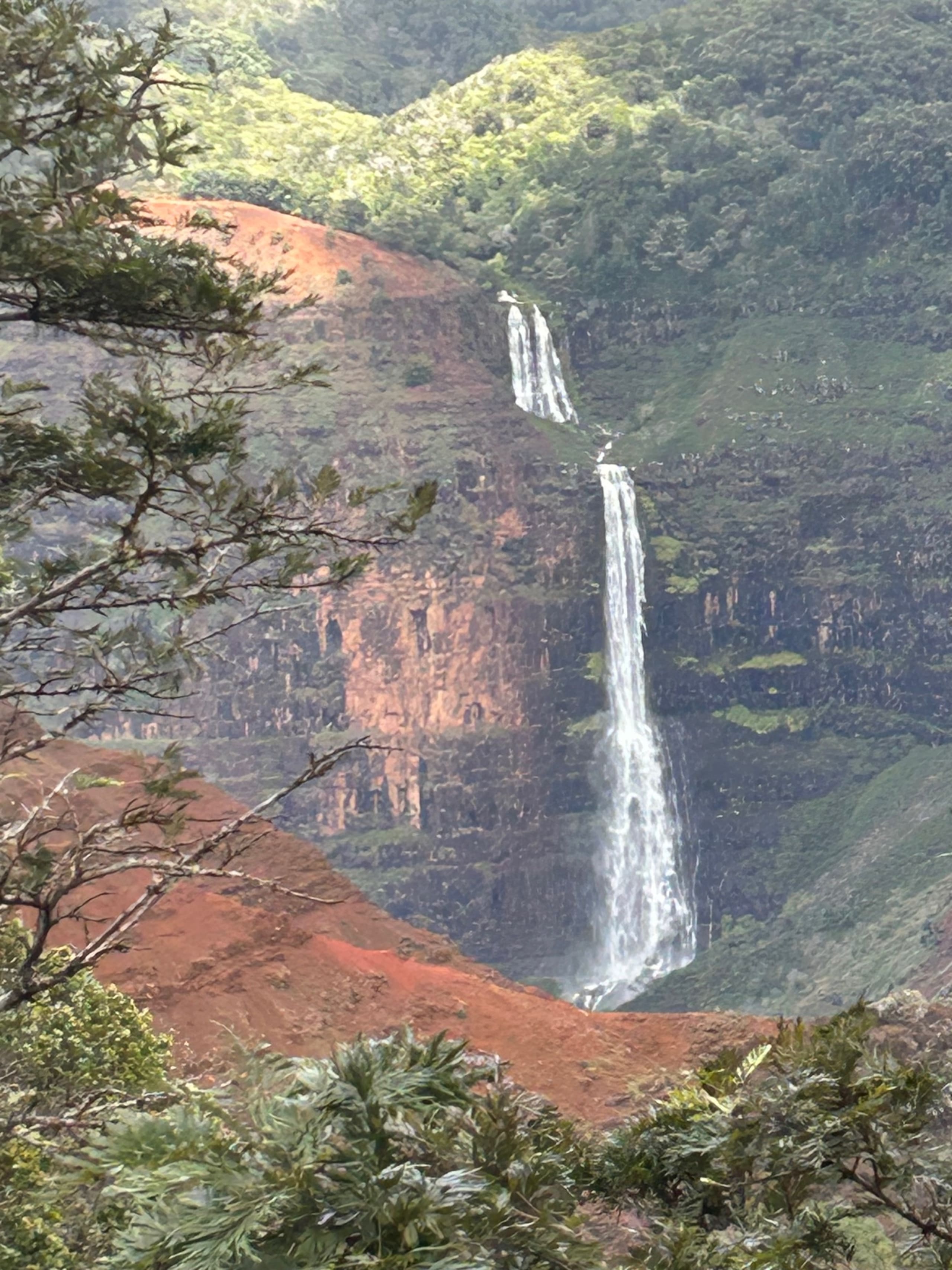Guesthouse in Pahoa · ★4.86 · 1 bedroom · 1 bed · 1 private bath - Image 25