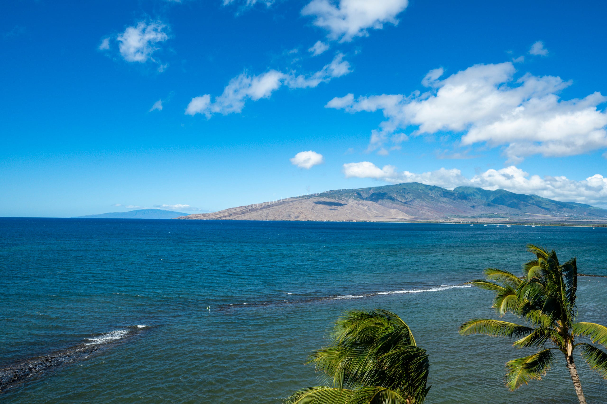 Condo in Kihei · ★4.89 · 2 bedrooms · 5 beds · 2 baths - Image 52