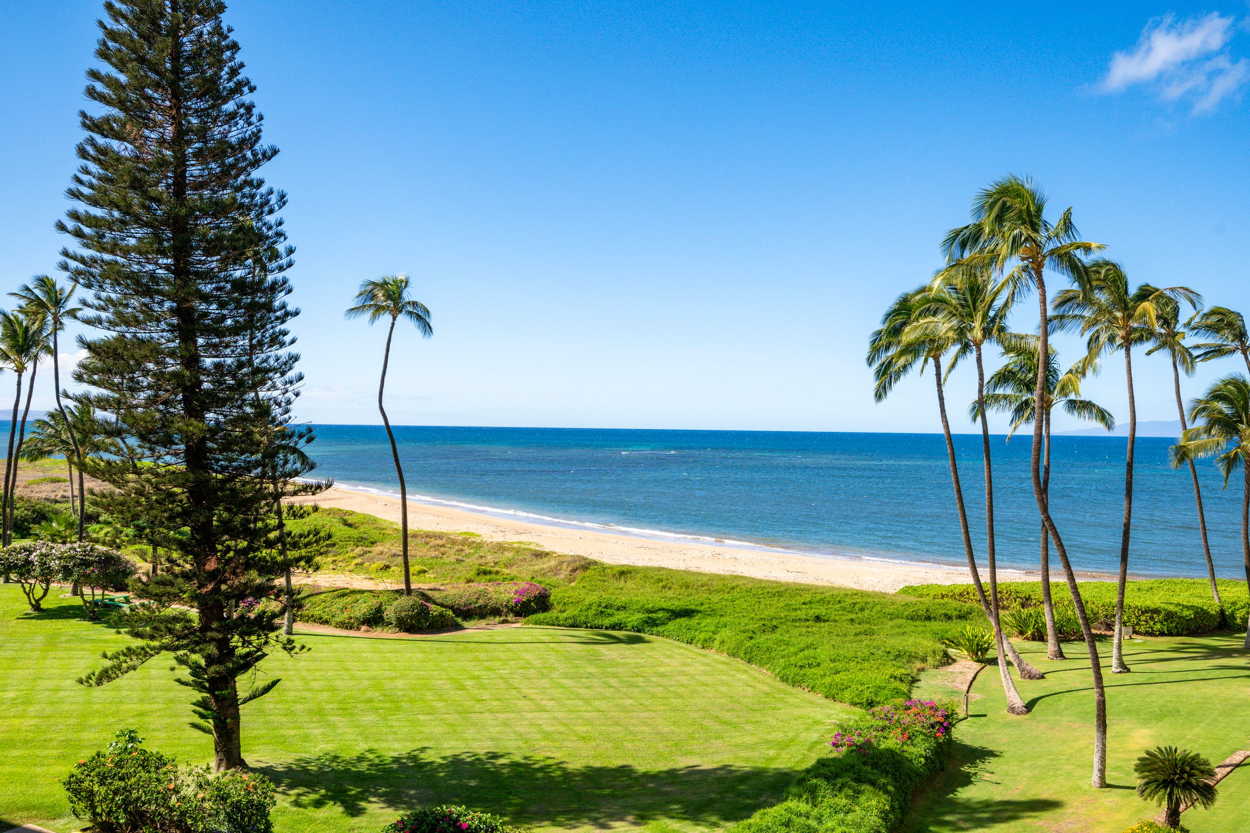 Condo in Kihei · ★4.89 · 2 bedrooms · 5 beds · 2 baths - Image 48