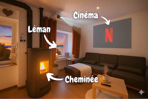 Cozy nest by Lake Geneva