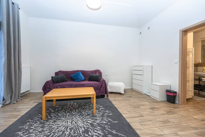 Folimanka Apartment XII + XIII gallery image 4