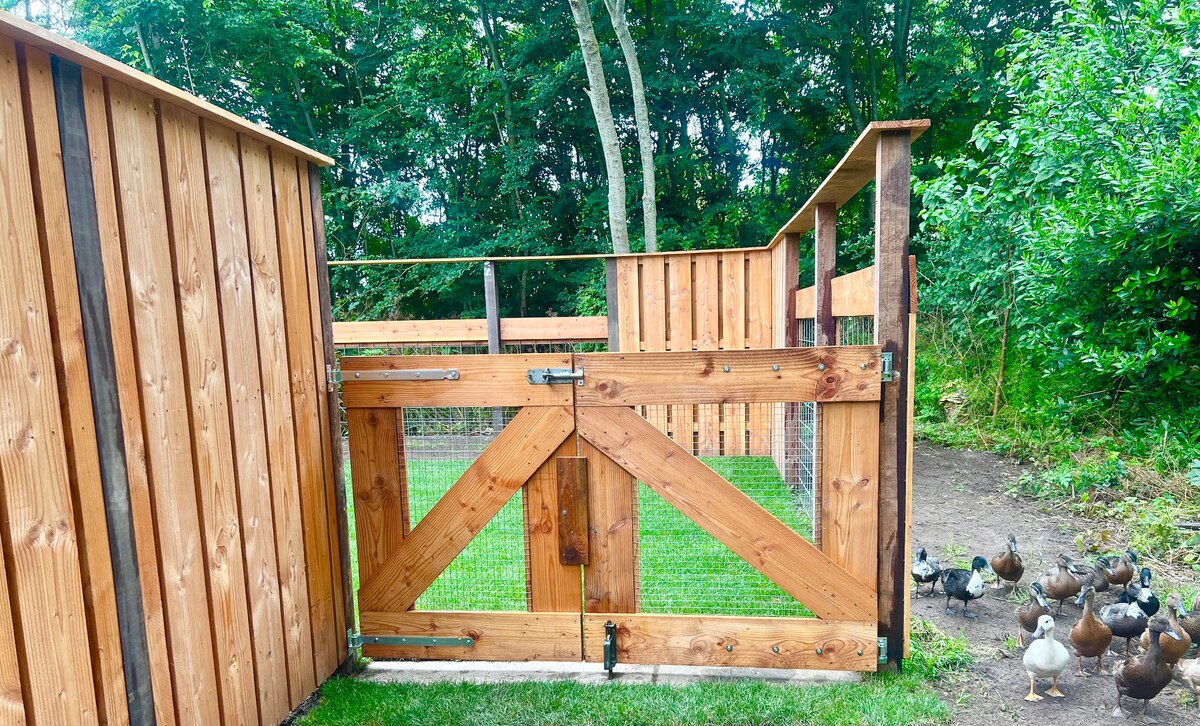 A wooden enclosure is shown, featuring a secure gate crafted from sturdy timber. The surrounding area is grassy, and several ducks are visible nearby, indicating the presence of farm animals. Dense trees are seen in the background, enhancing the natural setting.