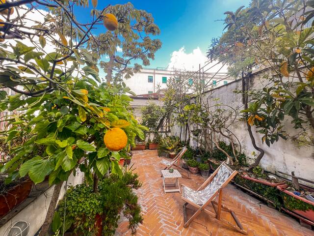 PORTOSALVO PentHouseRoofGarden gallery image 2