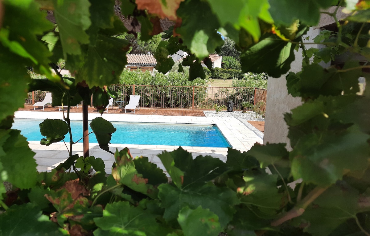 The image captures a view of a swimming pool framed by lush green grapevines. Two lounge chairs are positioned nearby, and the surrounding area offers a serene atmosphere with manicured greenery, providing a glimpse of the pool's clear water.