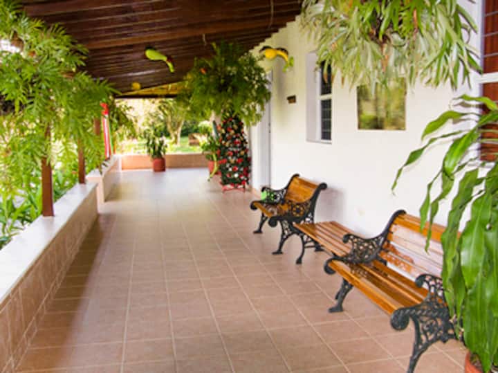 Finca Para 23, Piscina+jacuzzi+billar, Suroeste - La Pintada