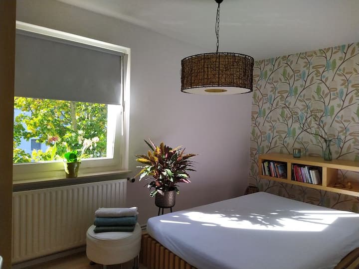 საძინებელი 1