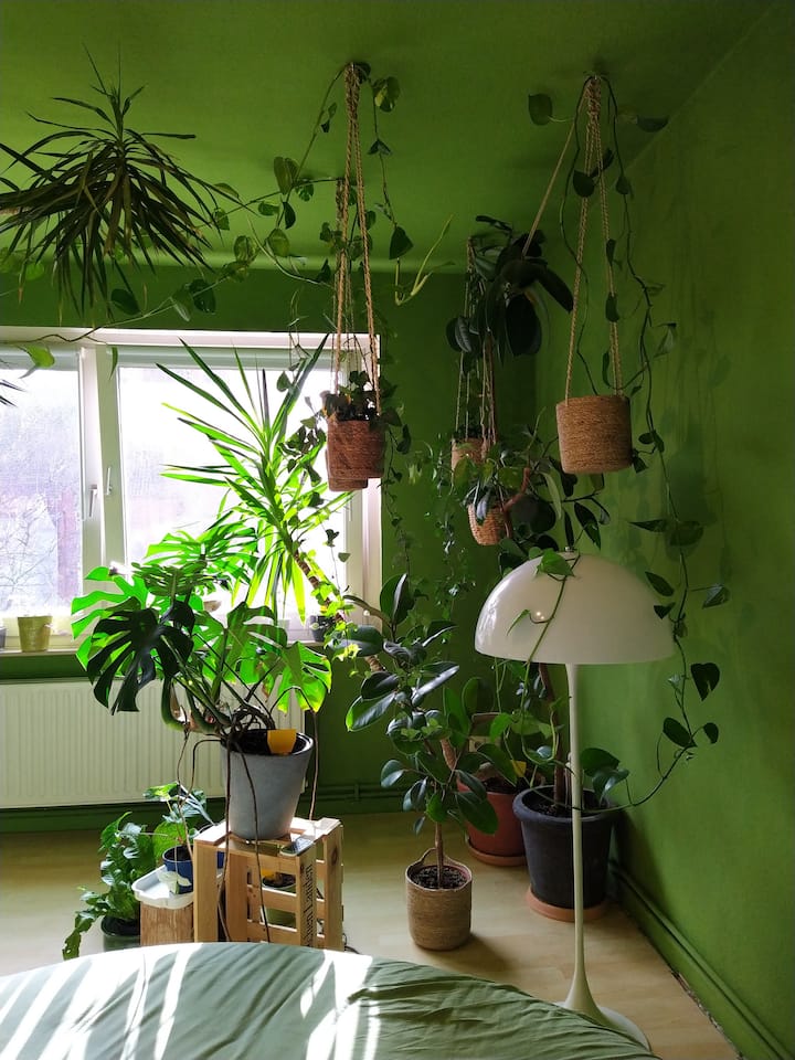 საძინებელი 2