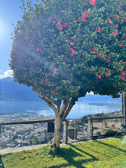 Casa Reto - The cottage in Ticino