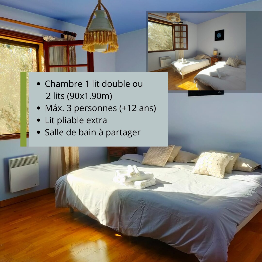 The bright and spacious room features two large windows allowing natural light to fill the space. A double bed is shown, with an extra set of towels neatly arranged on the bed. A warm wood floor complements the calming blue walls, creating a serene environment.