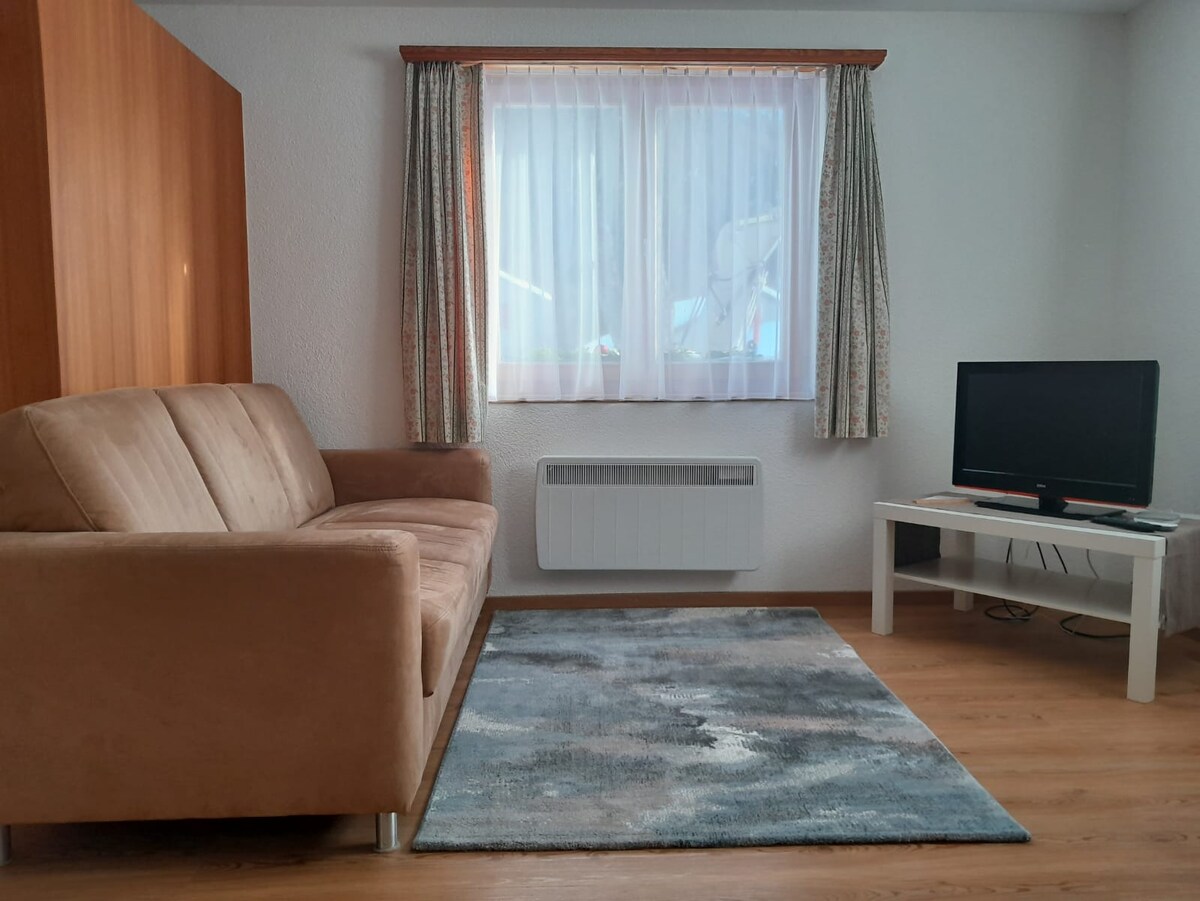 Successful Airbnb property: Vacations in Bregaglia in Graubünden/Grischun/Grigioni
