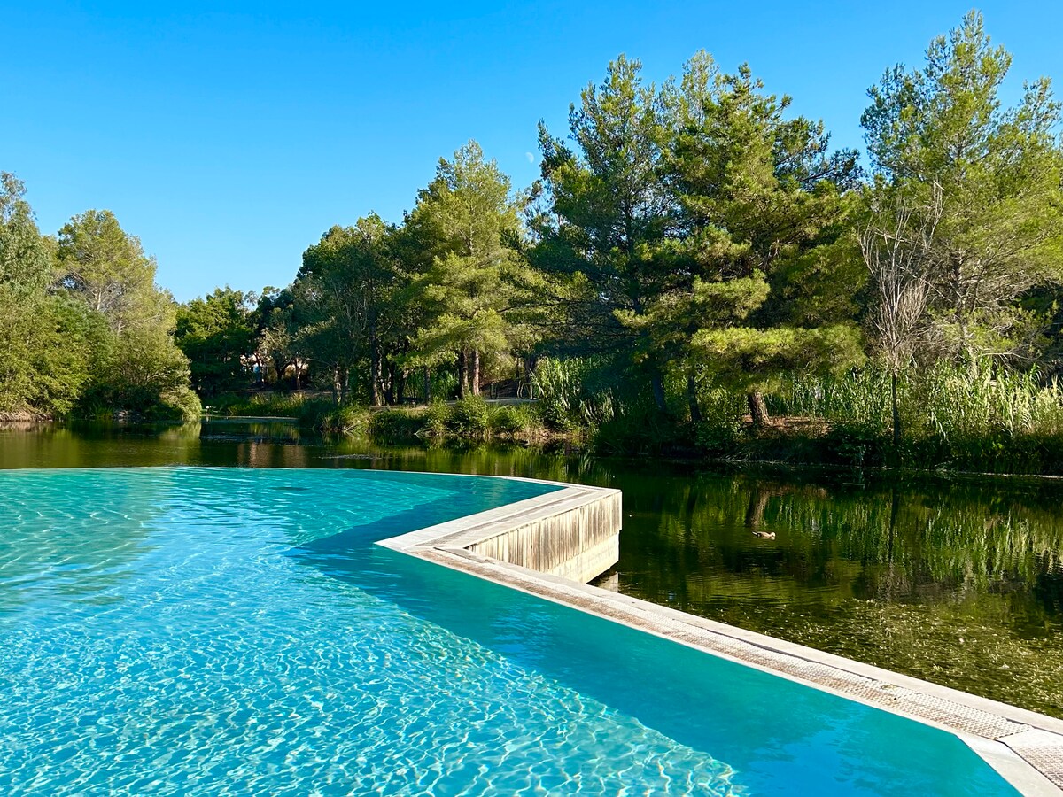 An infinity pool stretches along the edge of a serene lake, with clear blue water reflecting the sky. Surrounding trees provide a natural backdrop, creating a tranquil setting for relaxation. The pool's wooden deck leads to lush greenery along the water's edge.