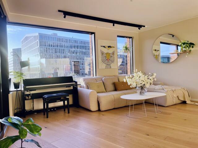 Sjøutsikt rett ved Sentralstasjon/Opera! Parkering gallery image 3