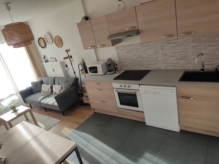 Superbe Appartement, Parkings Gratuits Sur Place - Strasbourg