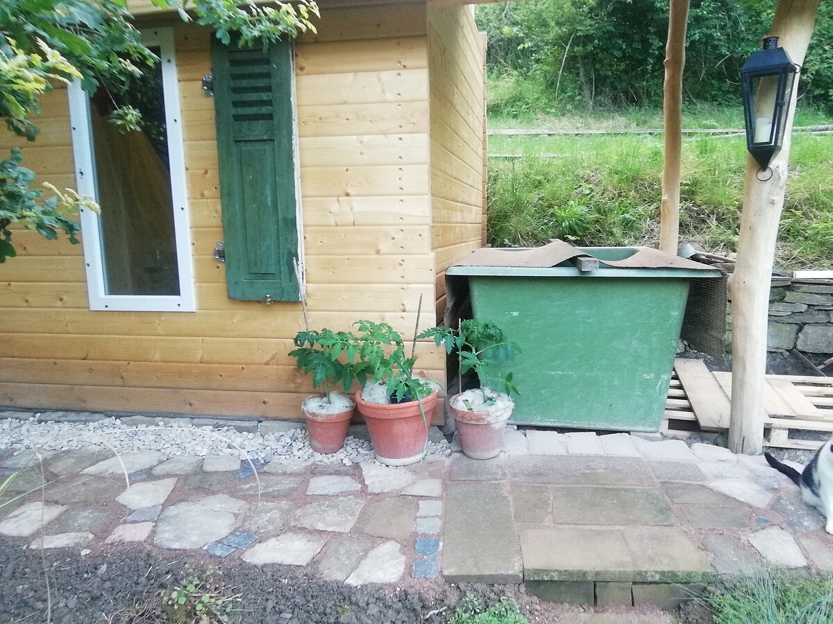 Popular Airbnb listing: Original leaves in Bad Kreuznach