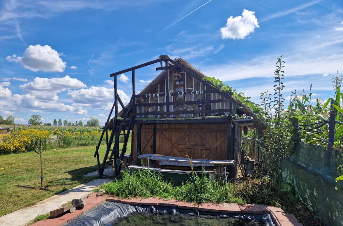 A rustic wooden structure is showcased with a thatched roof, surrounded by lush greenery. A wooden bench is positioned in front, providing a space for relaxation. The backdrop features a bright blue sky dotted with clouds, enhancing the serene outdoor environment.
