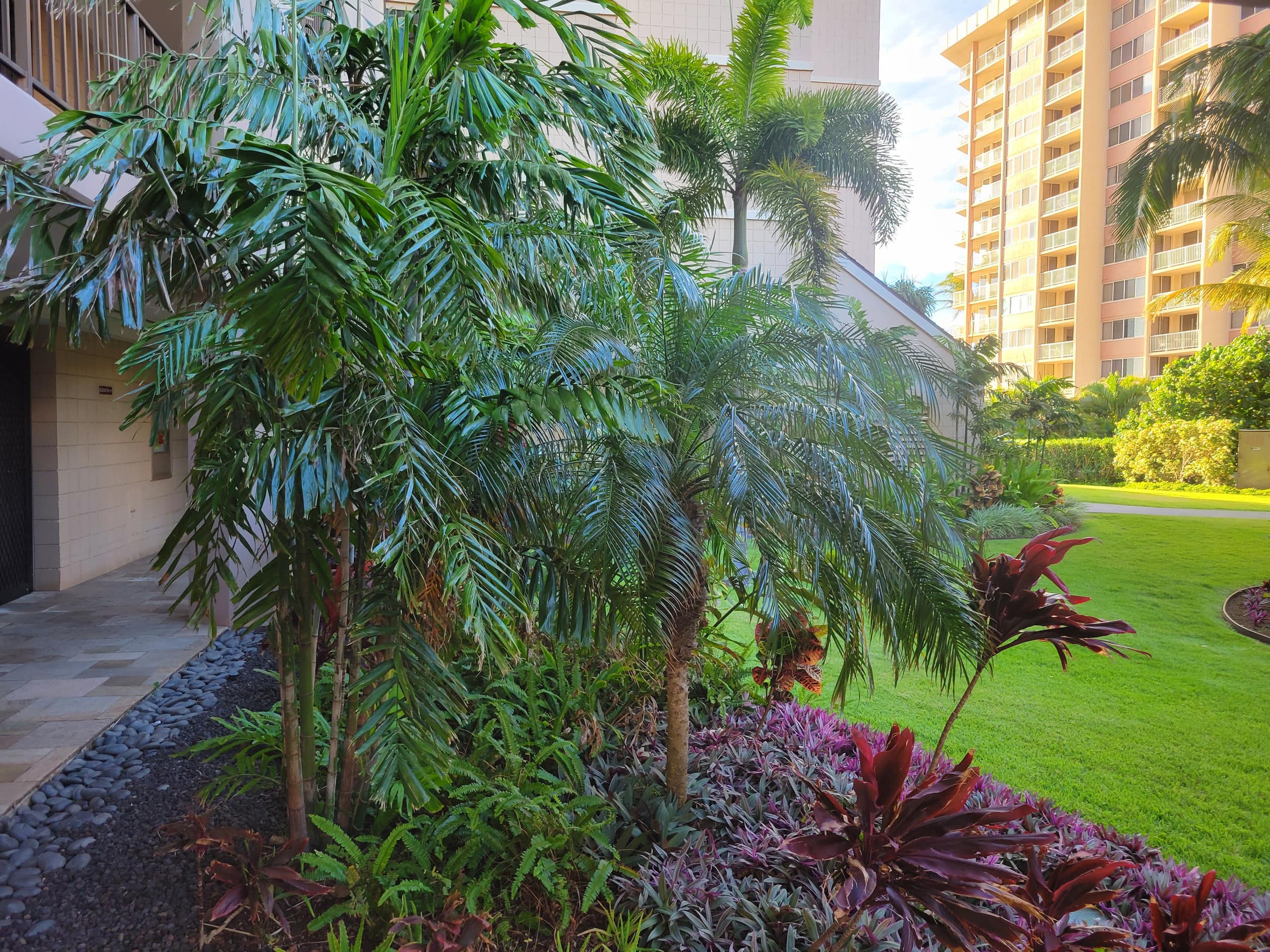Condo in Lahaina · ★4.91 · 1 bedroom · 2 beds · 1 bath - Image 41