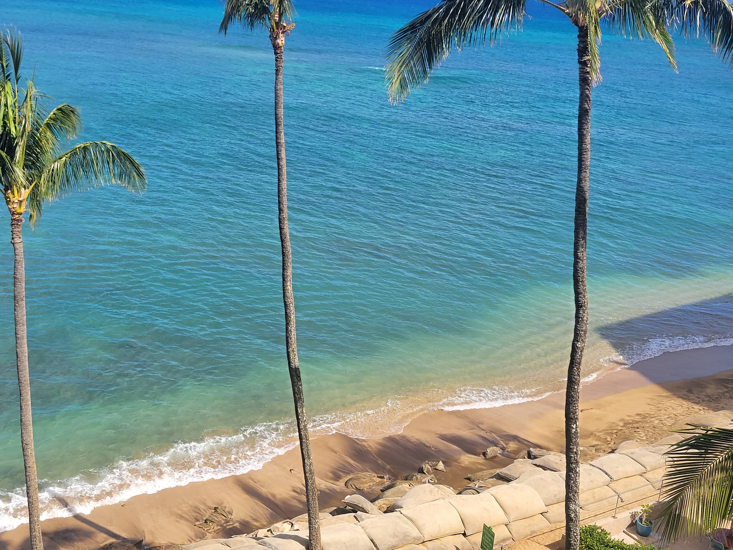 Condo in Lahaina · ★4.91 · 1 bedroom · 2 beds · 1 bath - Image 26