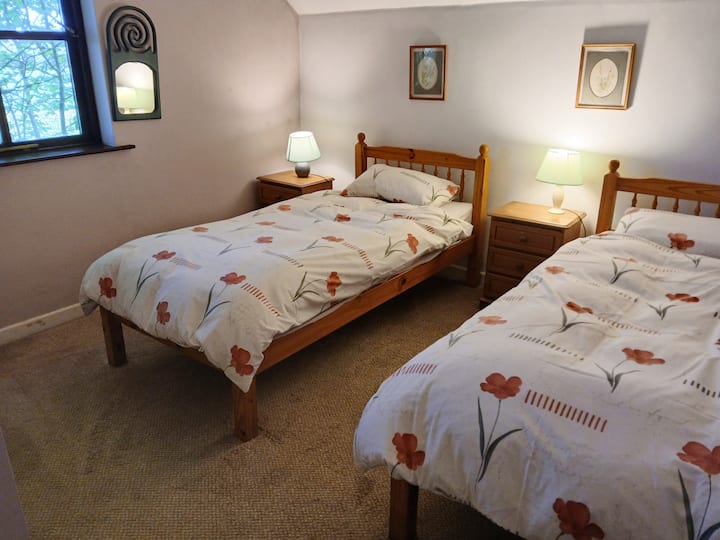 Twin room with down duvets overlooking a field across the road. There  is an en-suite bath / shower room, but it is designed to be shared with the other single room.