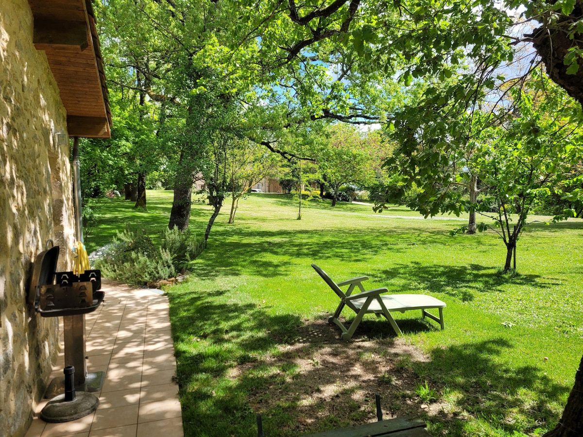A serene outdoor space features a well-maintained grassy area surrounded by trees. A lounge chair is positioned on a patio made of light-colored tiles, offering a peaceful spot to relax. The scene is brightened by natural light filtering through the foliage.