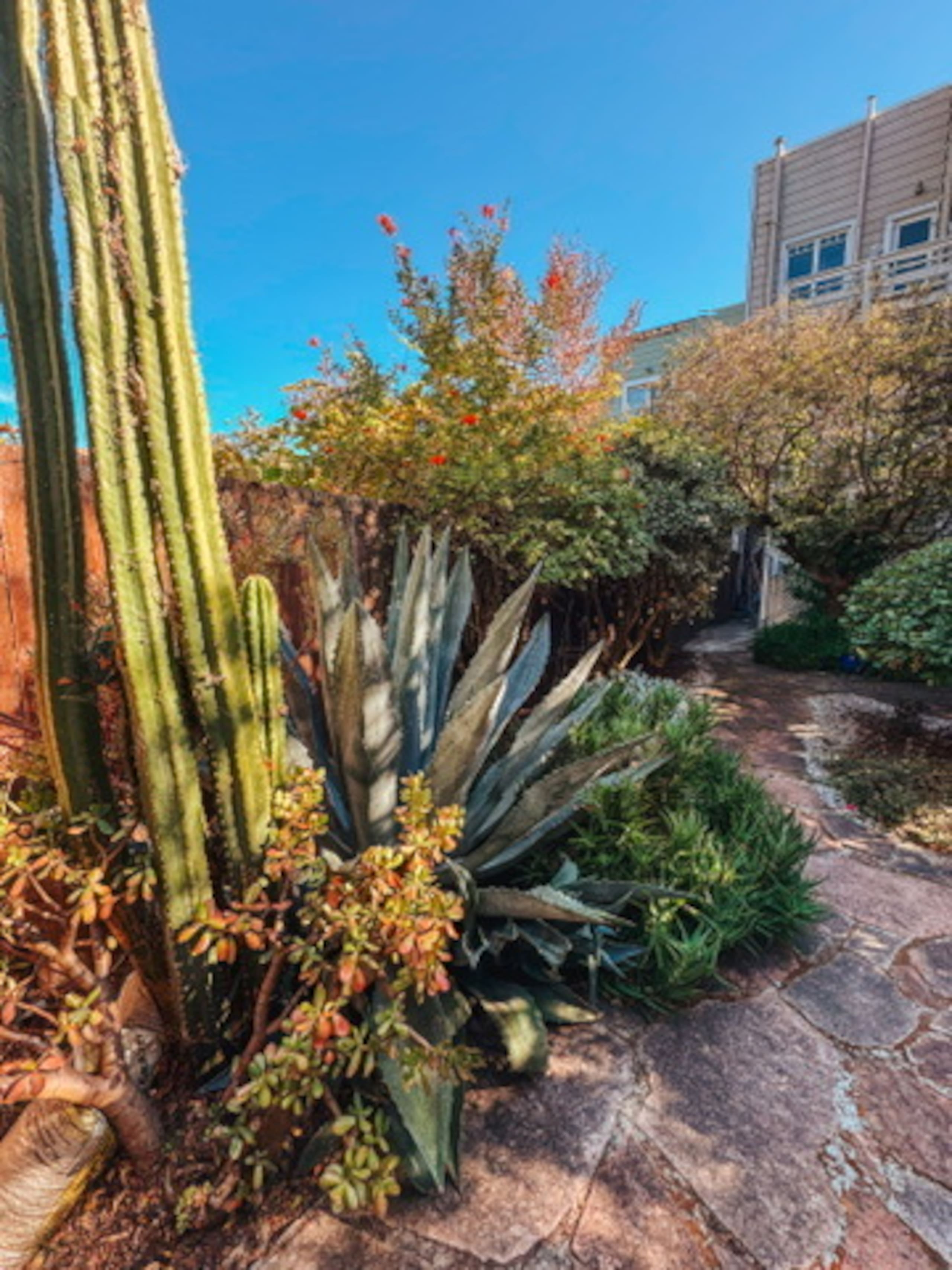 Condo in San Francisco · ★4.97 · 1 bedroom · 2 beds · 1 bath - Image 25