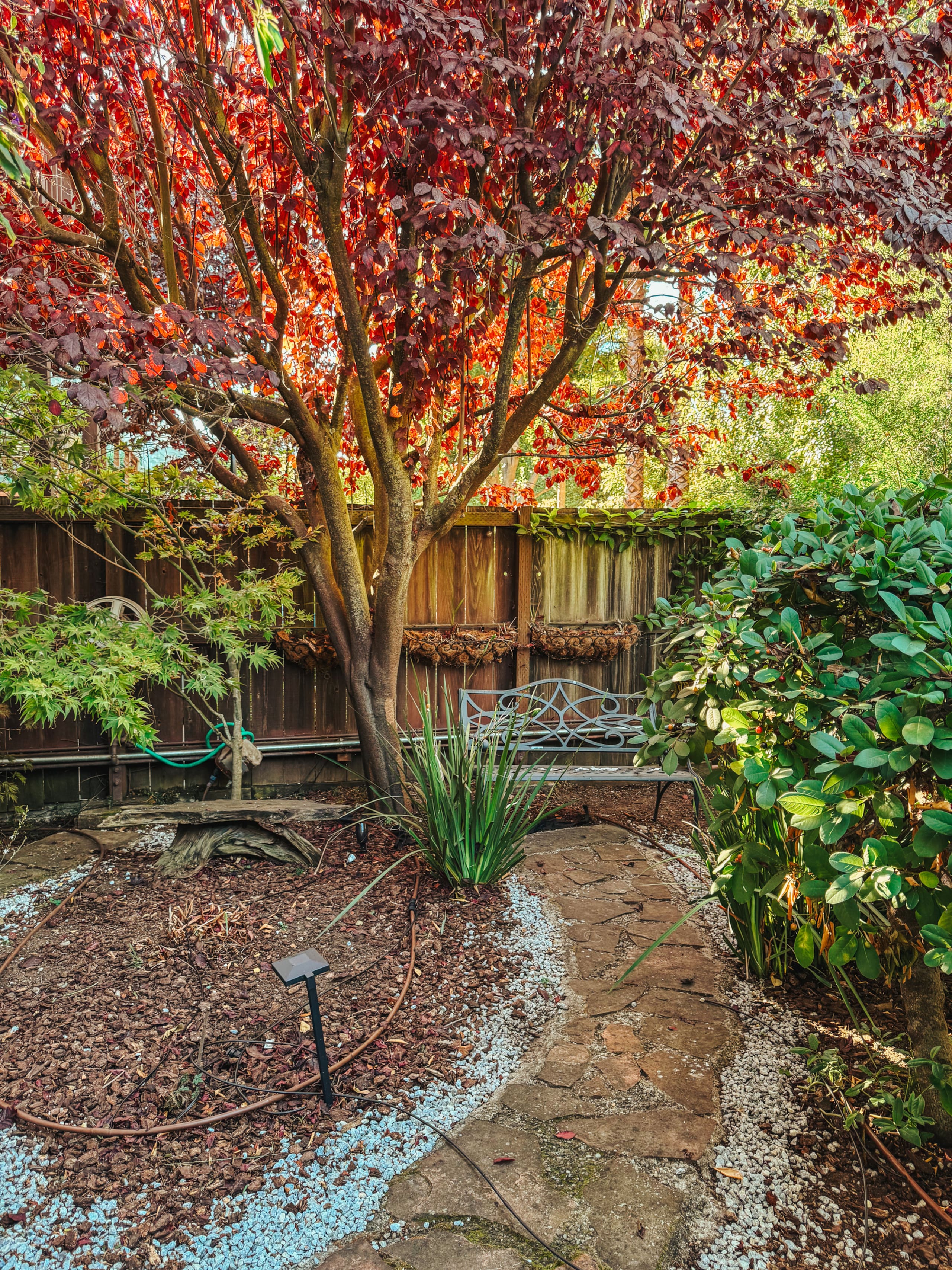 Condo in San Francisco · ★4.97 · 1 bedroom · 2 beds · 1 bath - Image 31