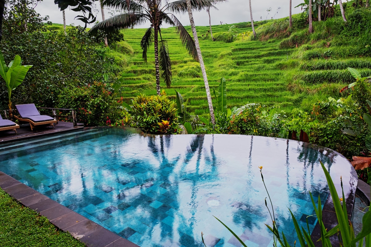 The infinity pool is surrounded by lush greenery, offering unobstructed views of the rice terraces. The pool features a smooth, dark stone edge that blends with the natural landscape, while a few sun loungers sit nearby, inviting relaxation amidst the serene environment.