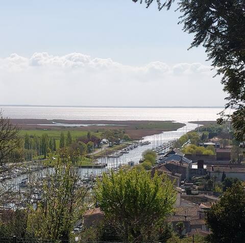Rental Mortagne-sur-Gironde, House, 11 people, 4 bedrooms