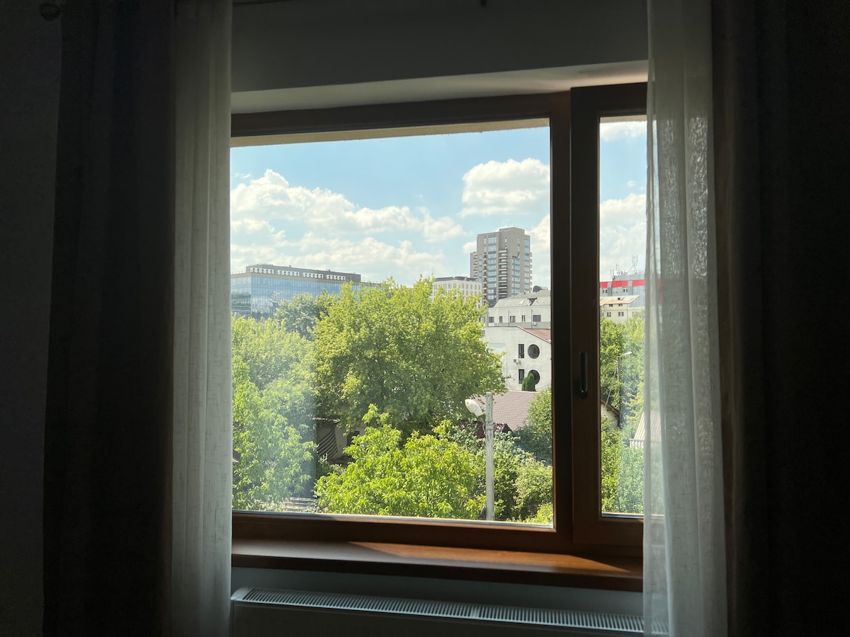 A window framed by sheer curtains offers a view of lush green trees and city buildings. Bright clouds drift across the sky, enhancing the natural light that fills the space. The scene captures a sense of tranquility amidst an urban backdrop.