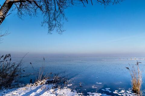 Idyllic apartment near Steinhuder Meer