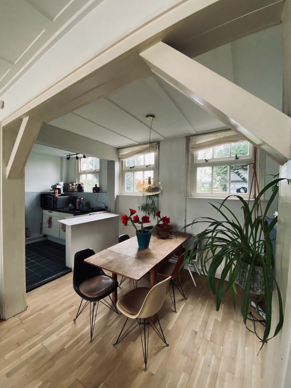 A dining area is highlighted by a wooden table surrounded by various colored chairs. Natural light enters through multiple windows, illuminating the space. A potted plant adds a touch of greenery, and kitchen appliances are partially visible in the background.