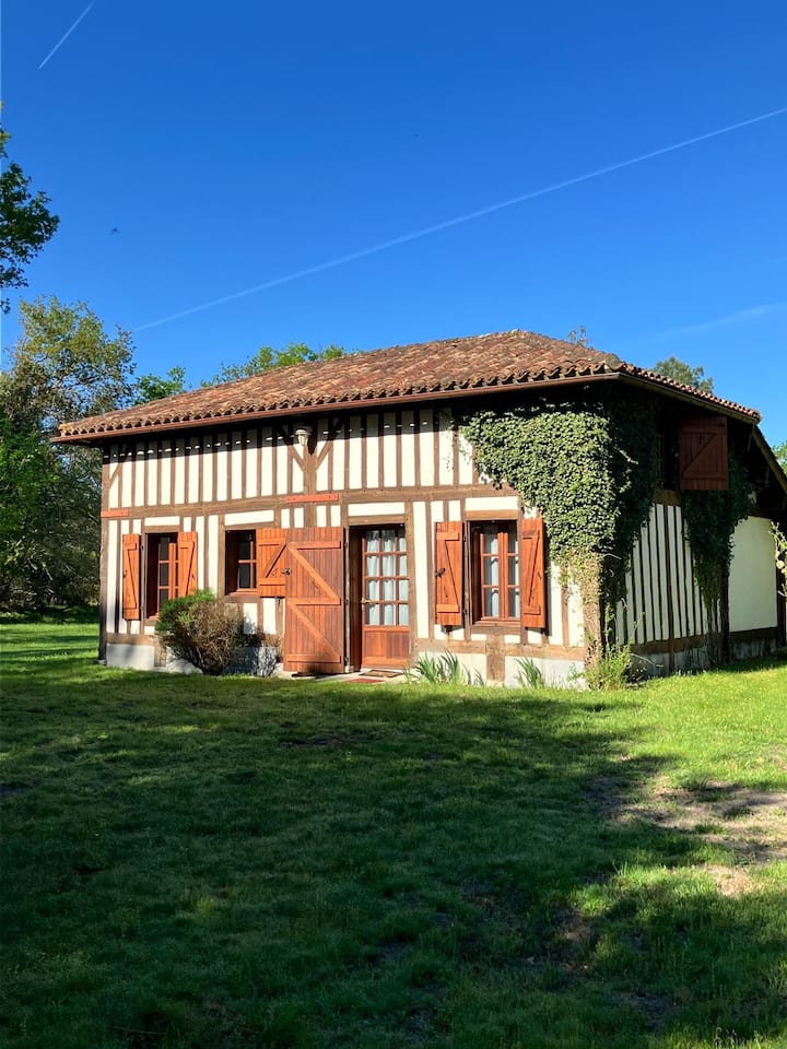 Maison Landaise Avec Piscine En Pleine Forêt - Landes
