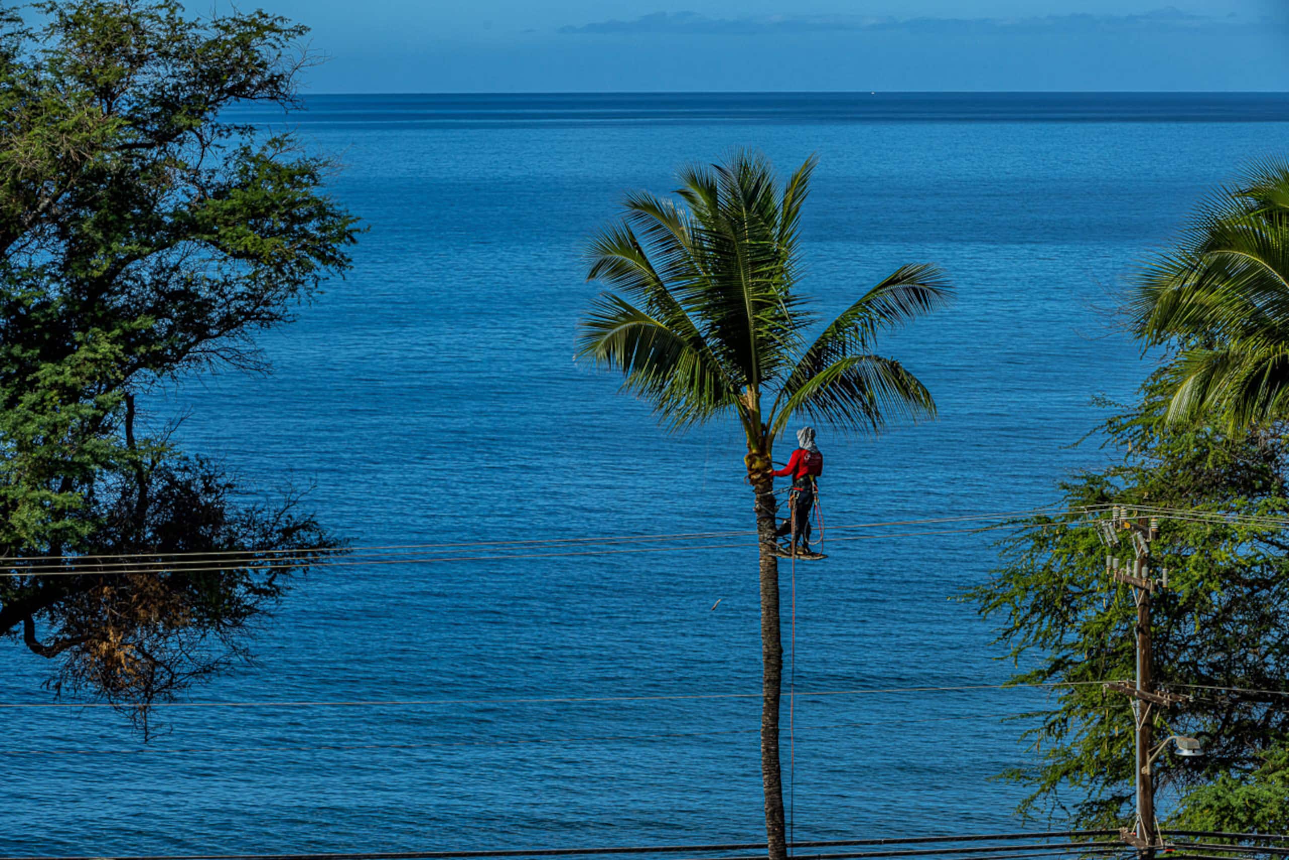 Condo in Kihei · ★4.94 · 2 bedrooms · 3 beds · 2 private baths - Image 31
