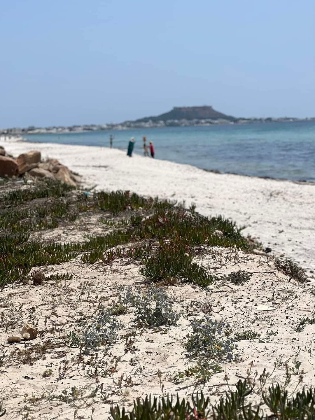 A sandy shoreline stretches along the calm sea, dotted with small green plants native to the area. In the distance, a low rocky island is visible, while a few people stroll along the beach, enjoying the warm surroundings and clear blue skies.