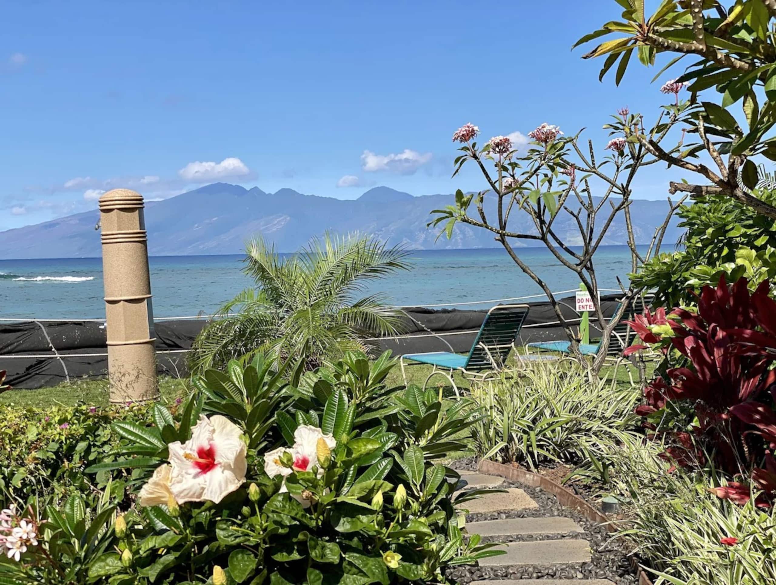 Condo in Lahaina · ★4.85 · 1 bedroom · 1 bed · 1 bath - Image 29