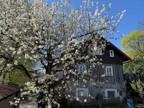 Villa Adélka - a cozy cottage in the Krkonoše Mountains