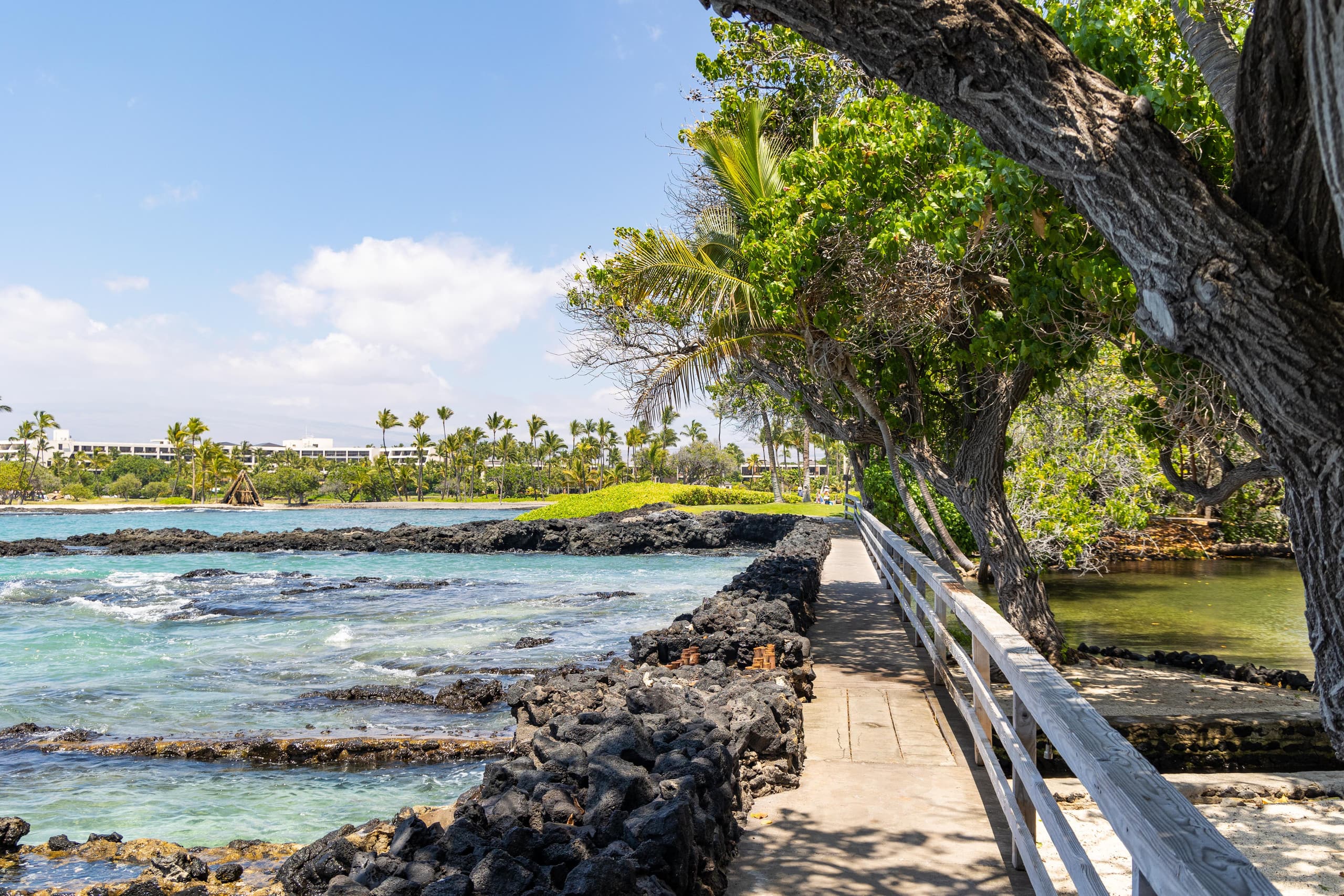 Home in Waimea · ★4.98 · 3 bedrooms · 4 beds · 3.5 baths - Image 80