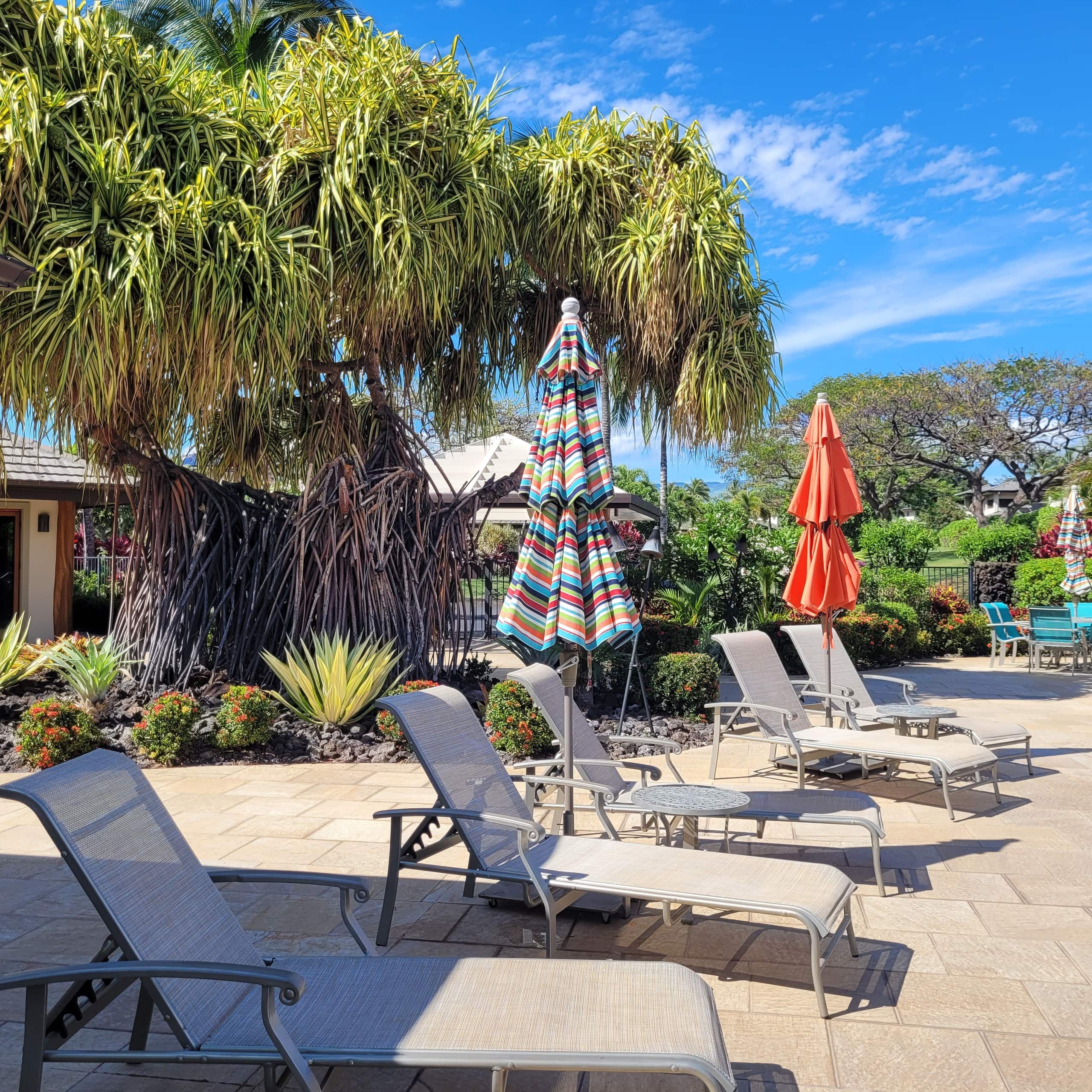 Home in Waimea · ★4.98 · 3 bedrooms · 4 beds · 3.5 baths - Image 68