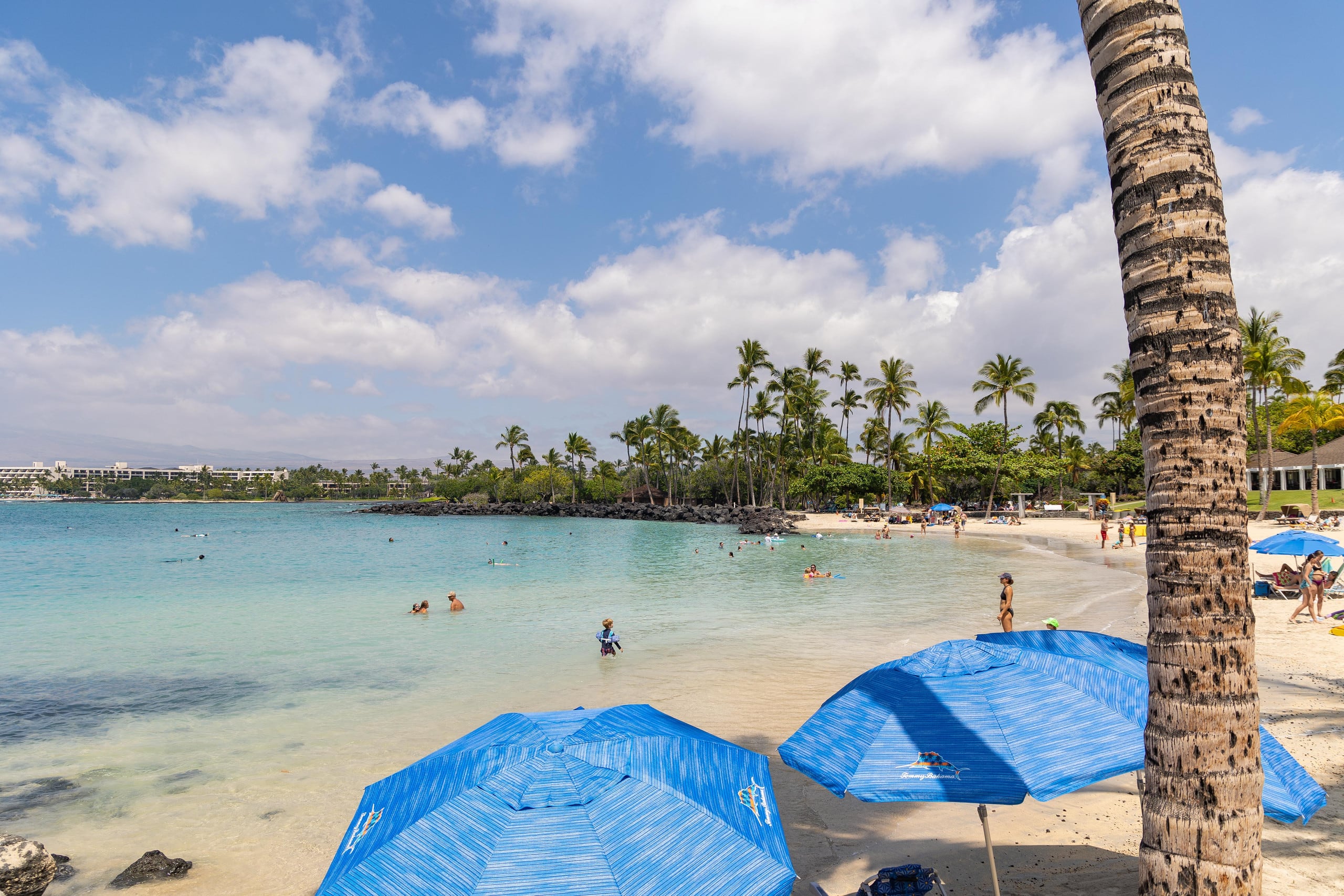 Home in Waimea · ★4.98 · 3 bedrooms · 4 beds · 3.5 baths - Image 83